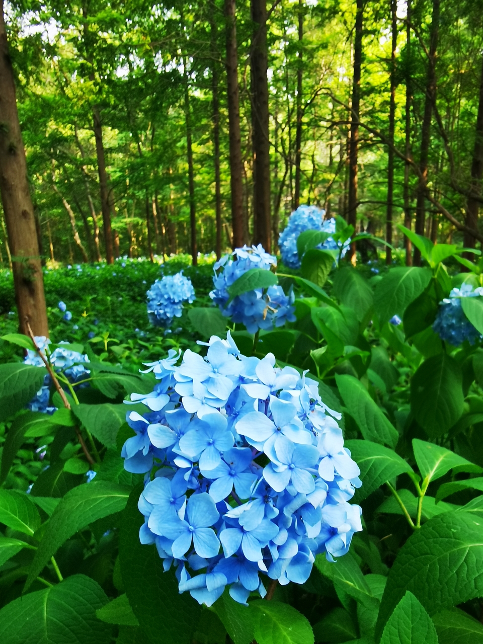 微信图片_20220620212654