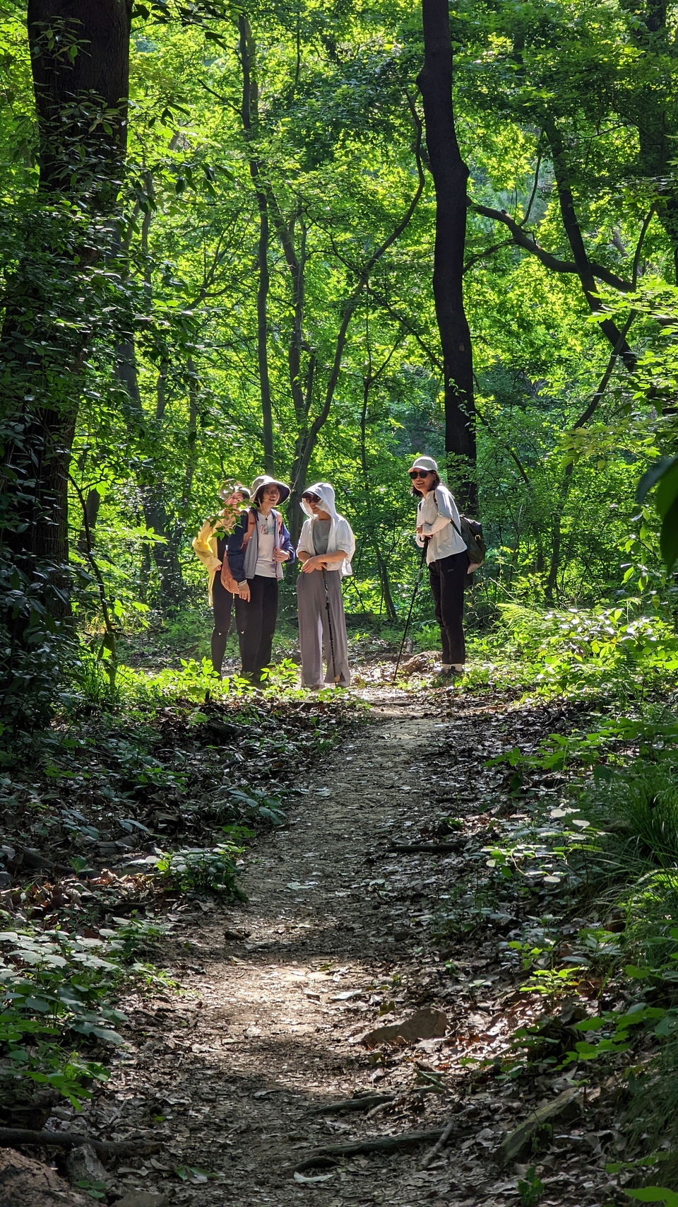 微信图片_20220620212726