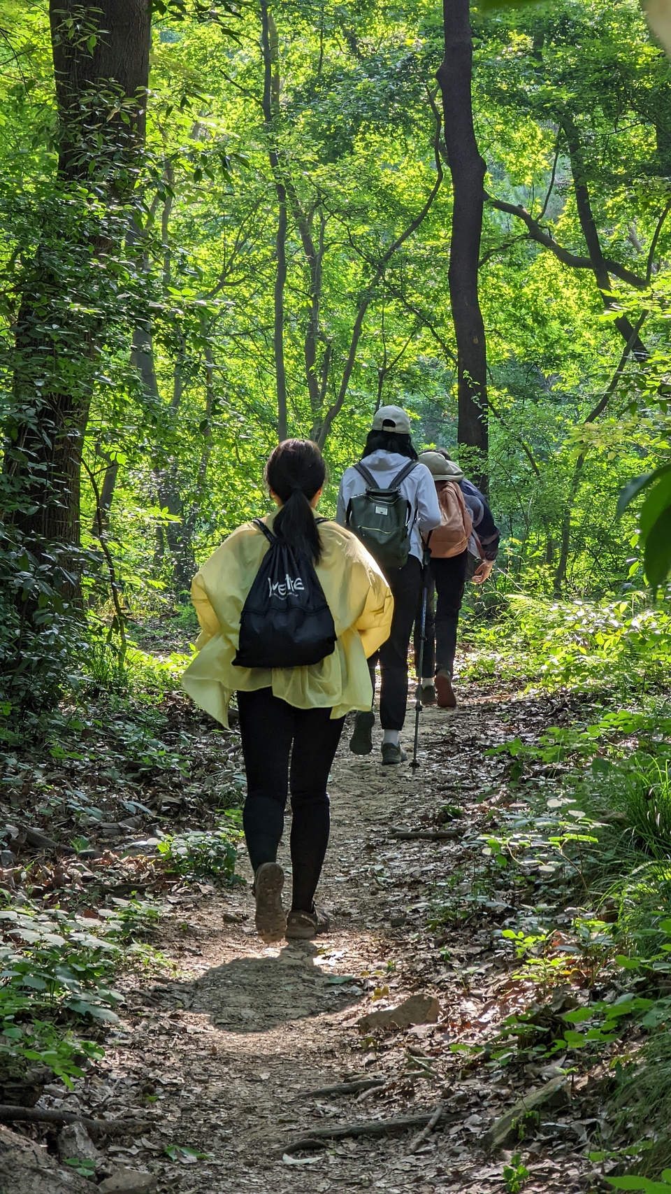 微信图片_20220620212732