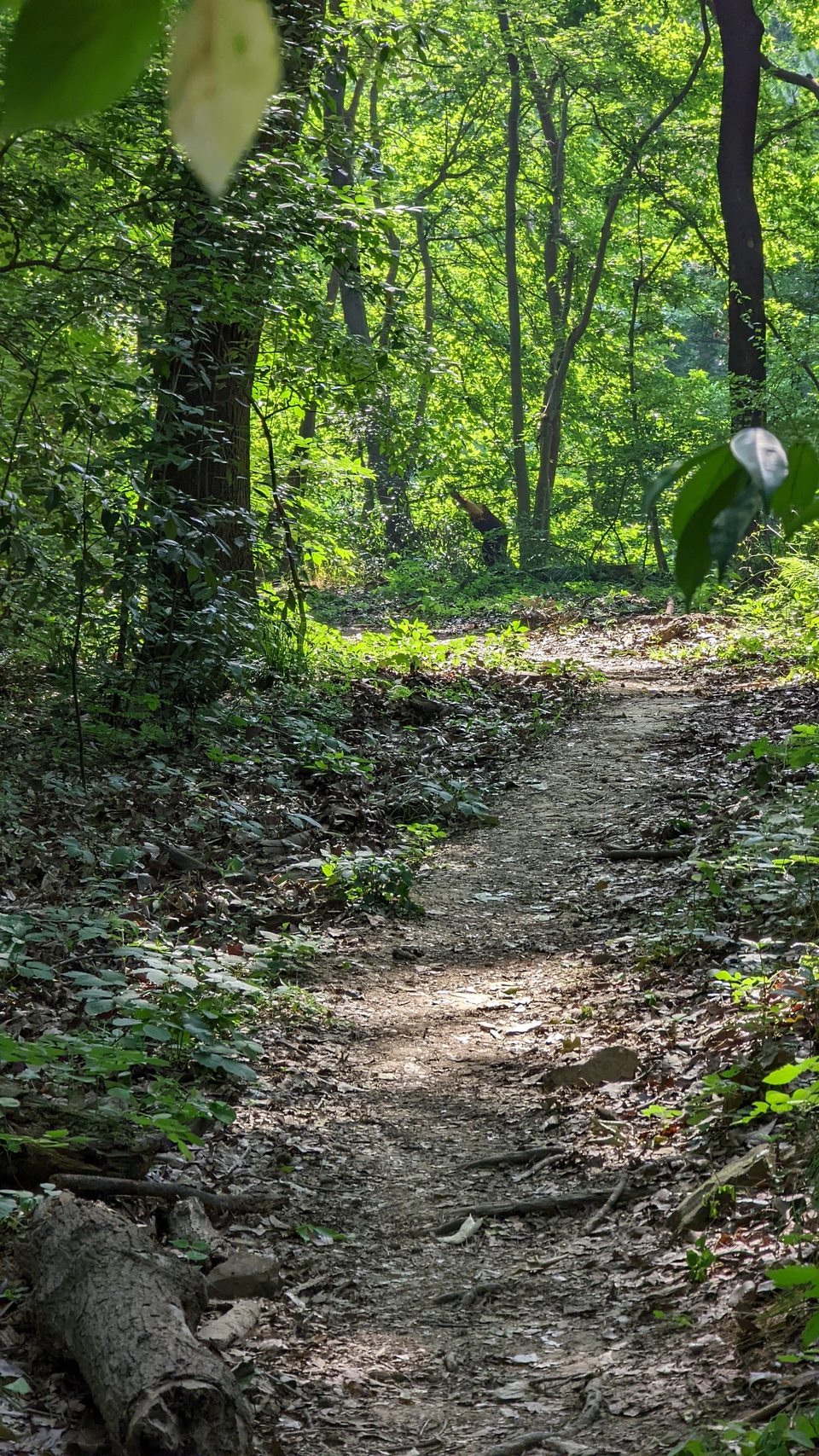 微信图片_20220620212751