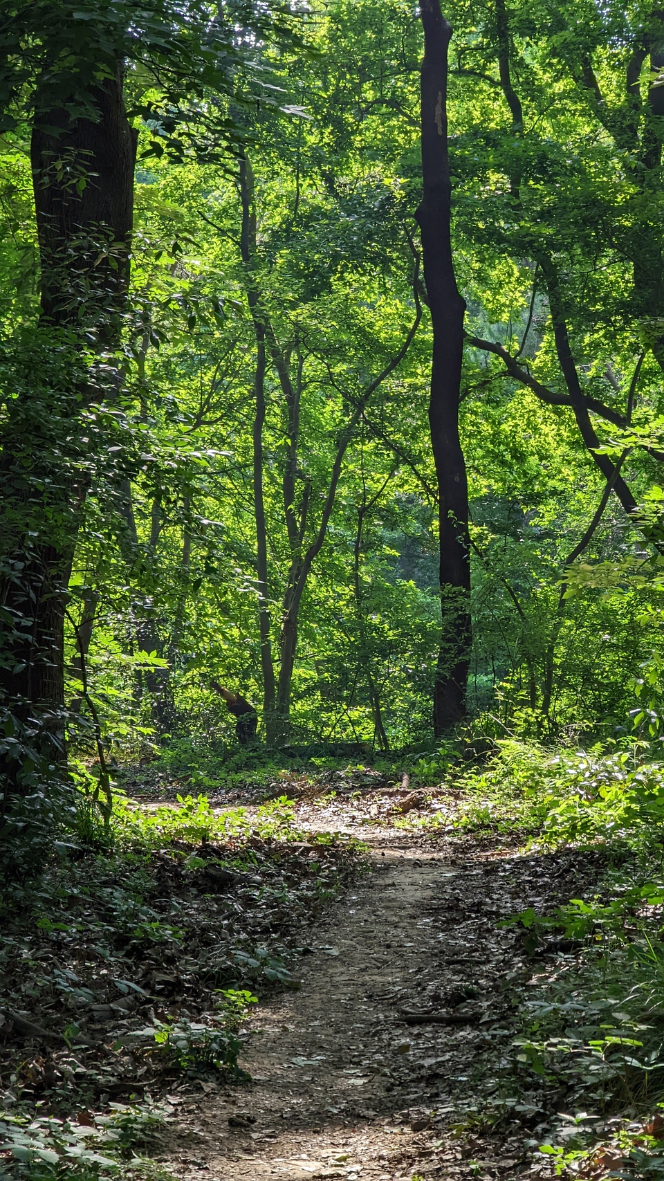 微信图片_20220620212754