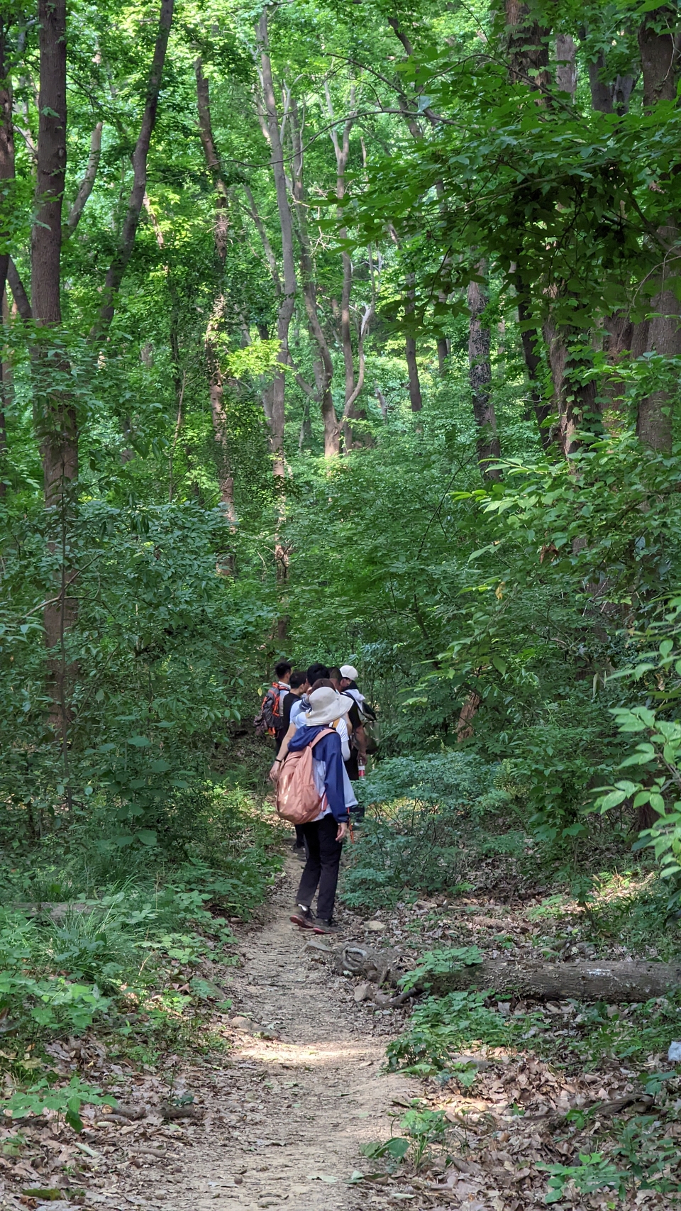 微信图片_20220620212759