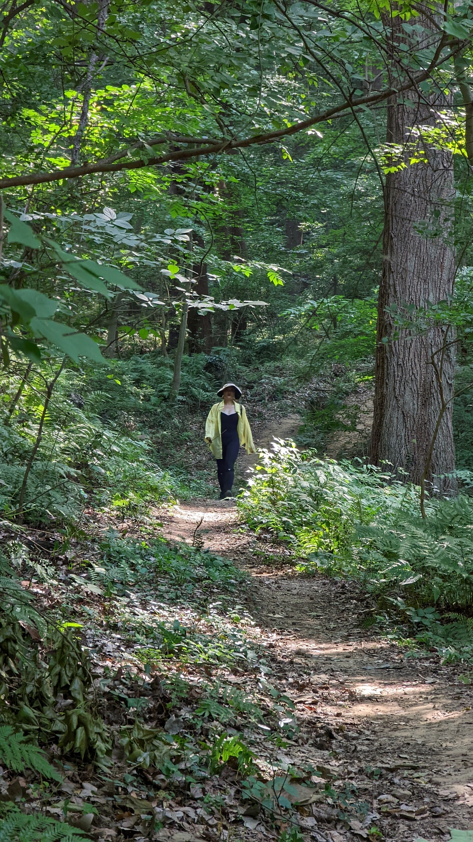 微信图片_20220620212804