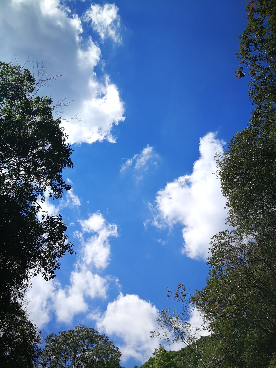 微信图片_20220821122151