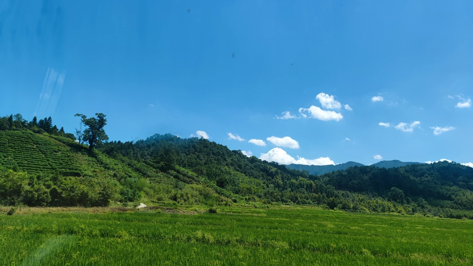 微信图片_20220821154303