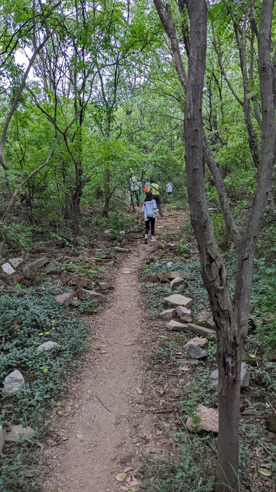 微信图片_20220903193524