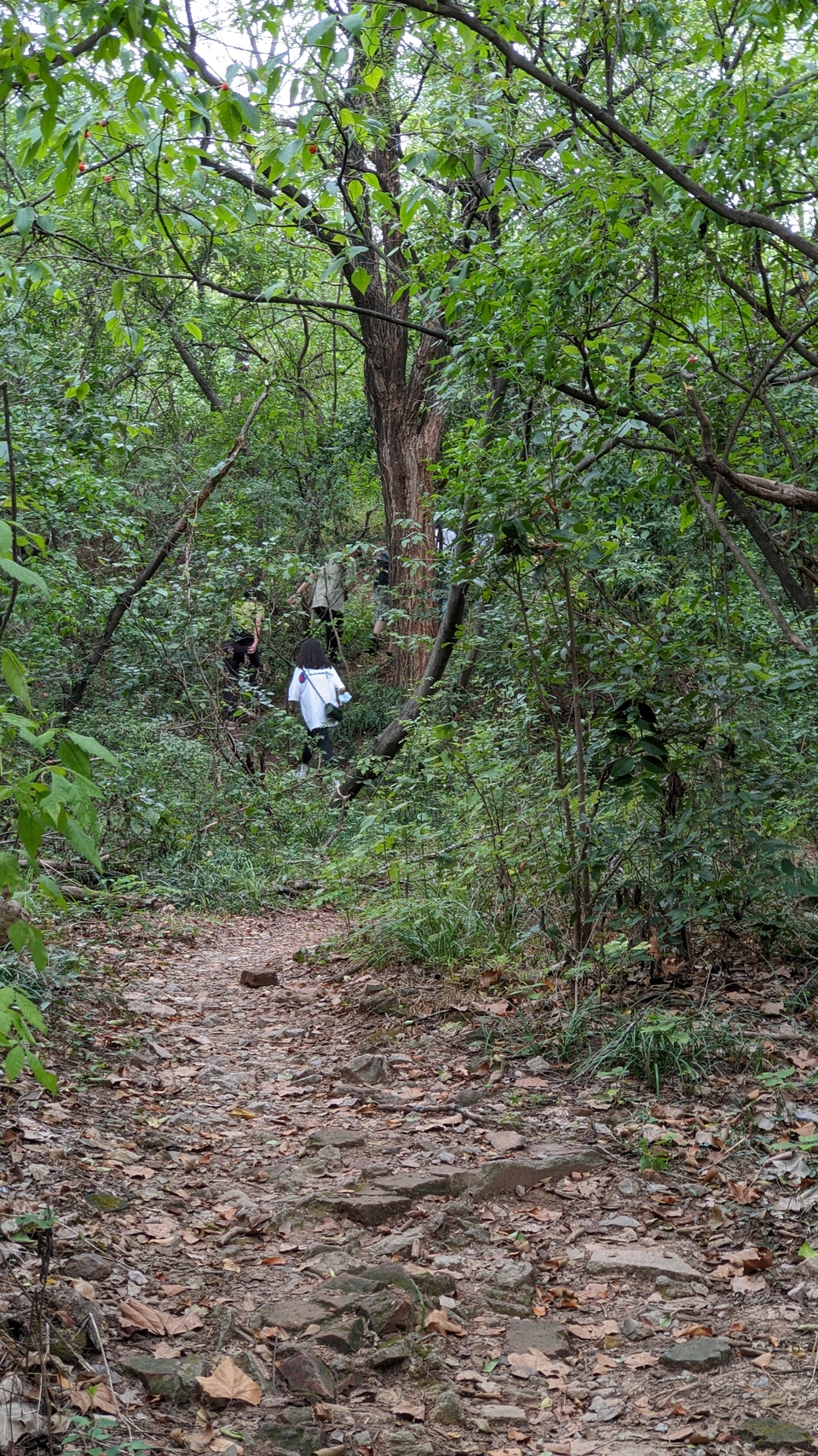 微信图片_20220903193527