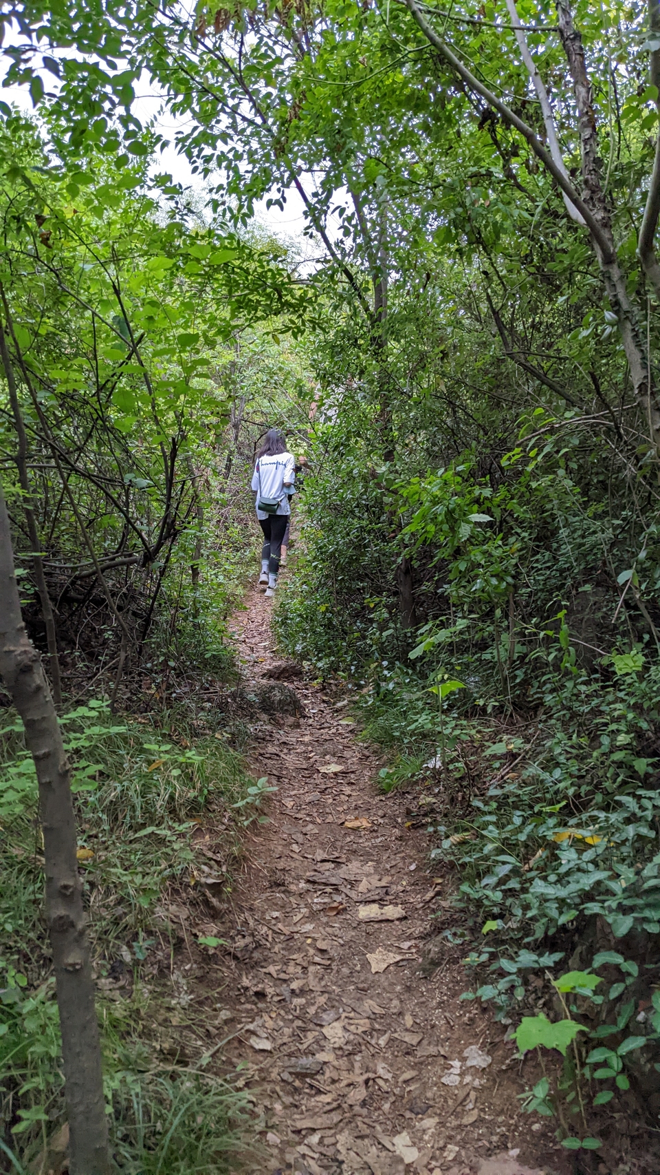 微信图片_20220903193540