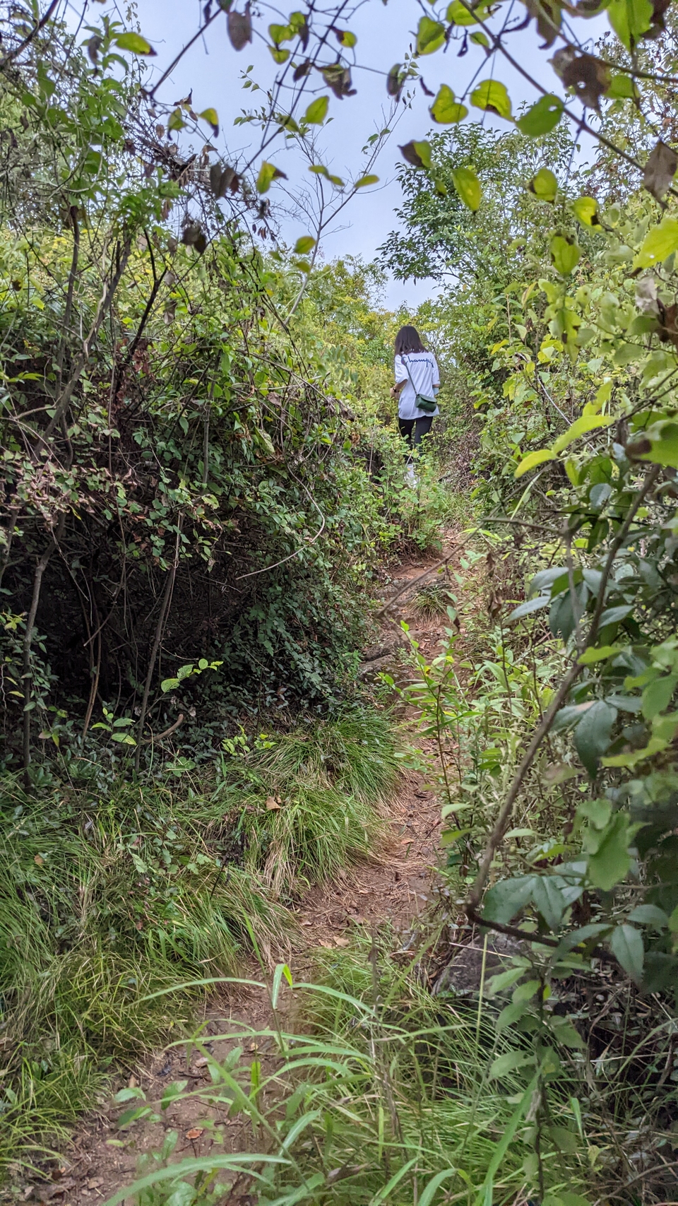 微信图片_20220903193544