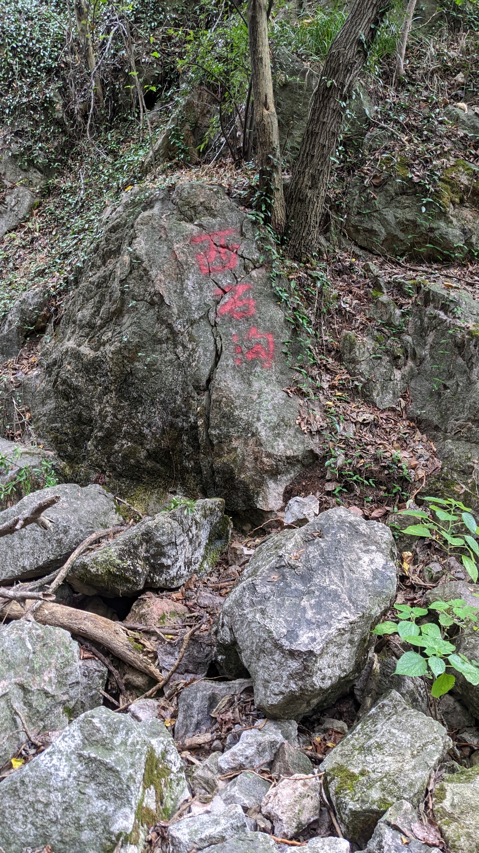 微信图片_20220903193601