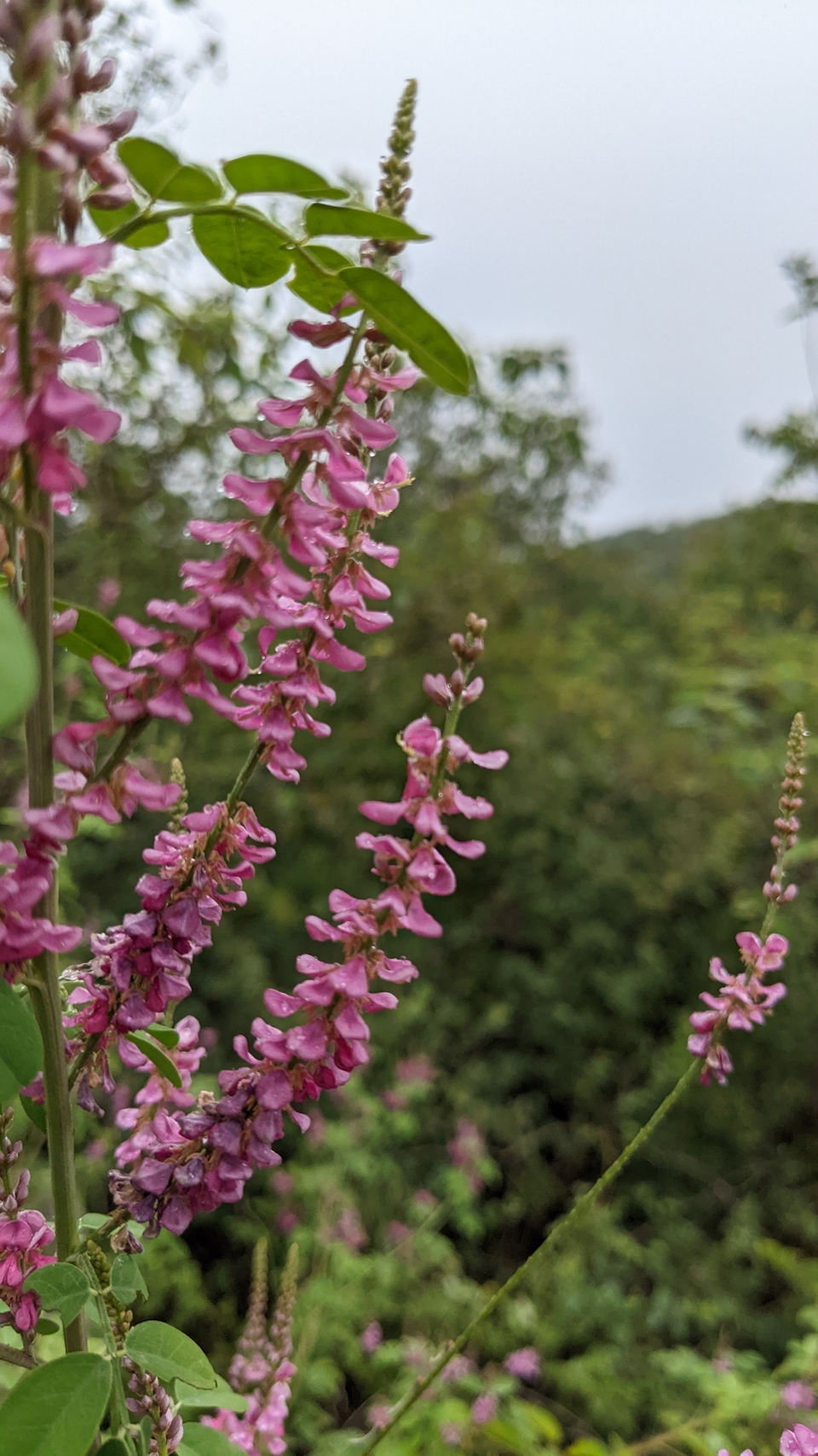 微信图片_20220903193946