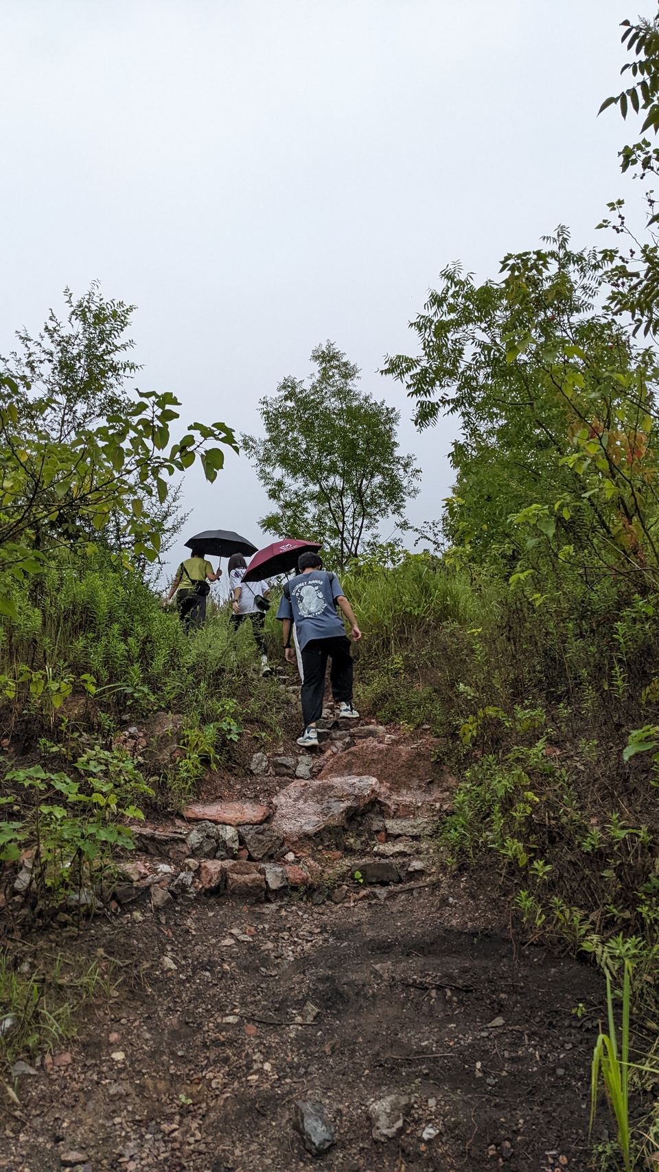 微信图片_20220903194003