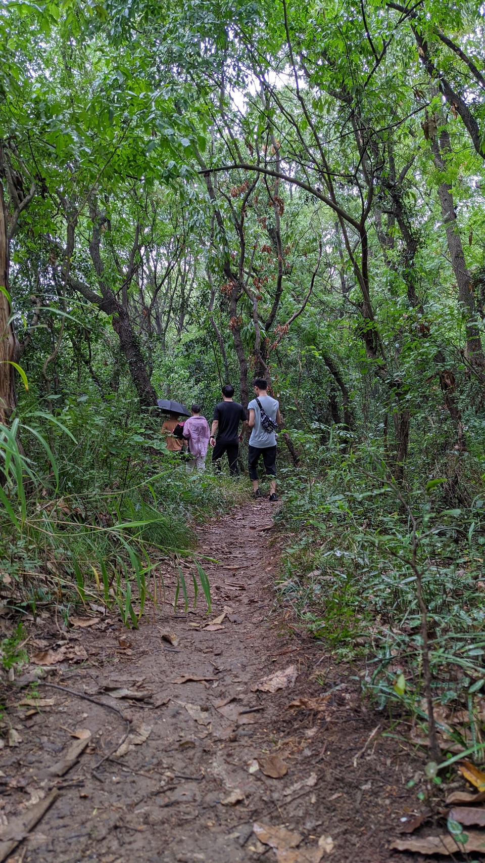 微信图片_20220903194156