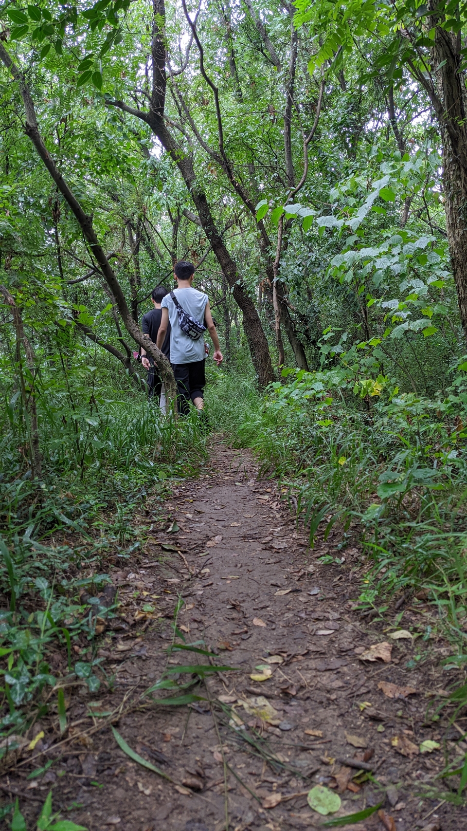 微信图片_20220903194200