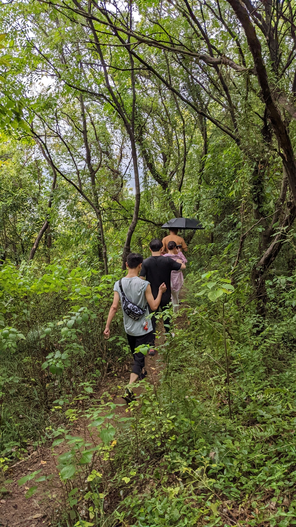 微信图片_20220903194204