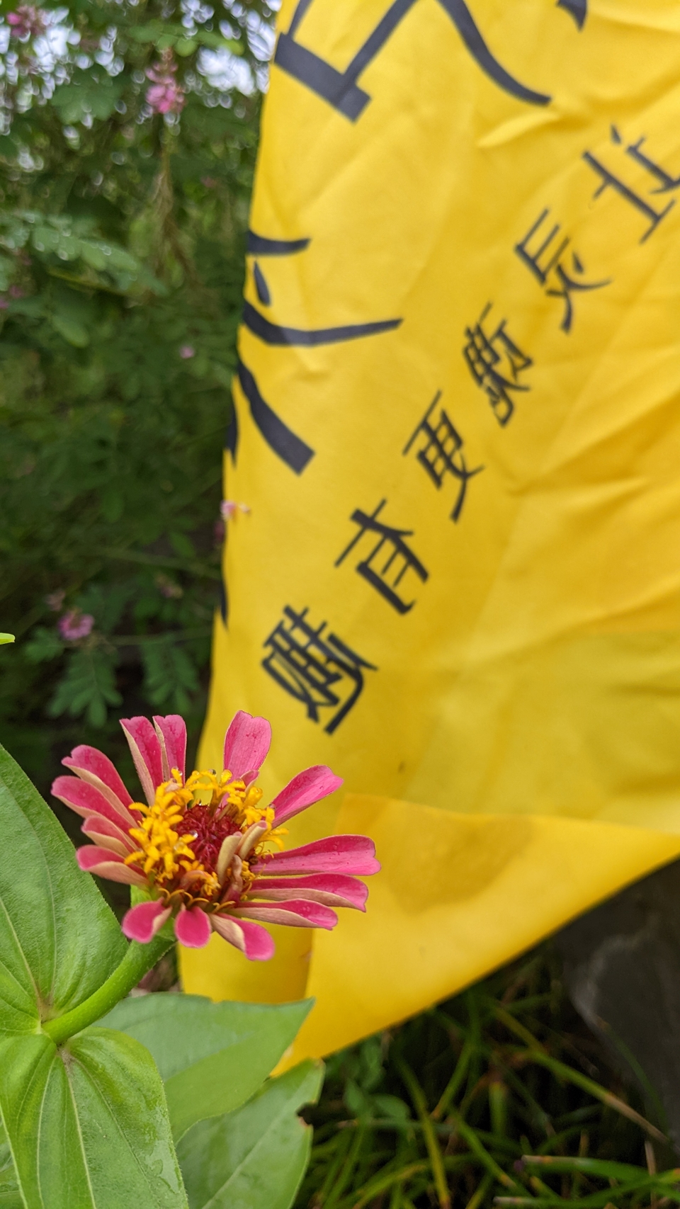 微信图片_20220903194216