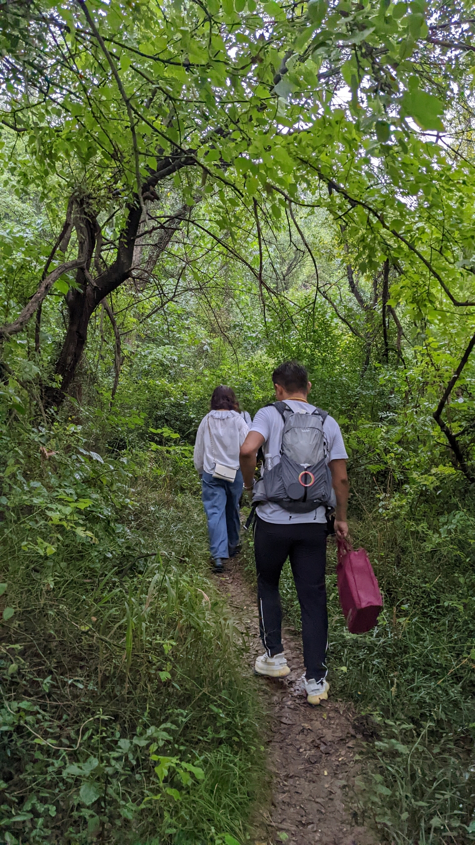 微信图片_20220903194223