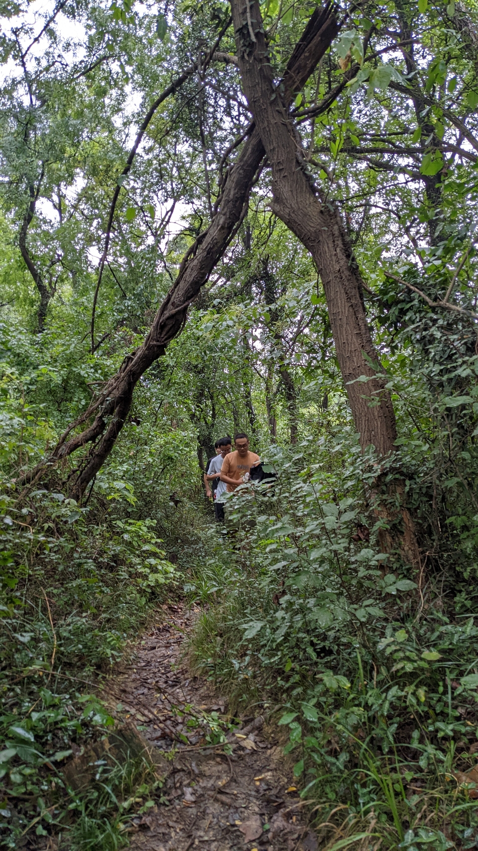 微信图片_20220903194227