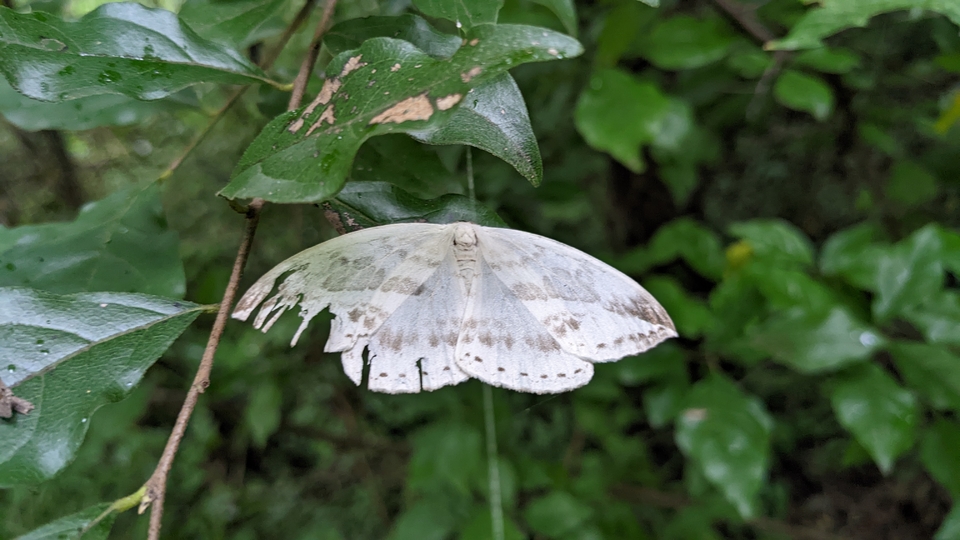 微信图片_20220903194230