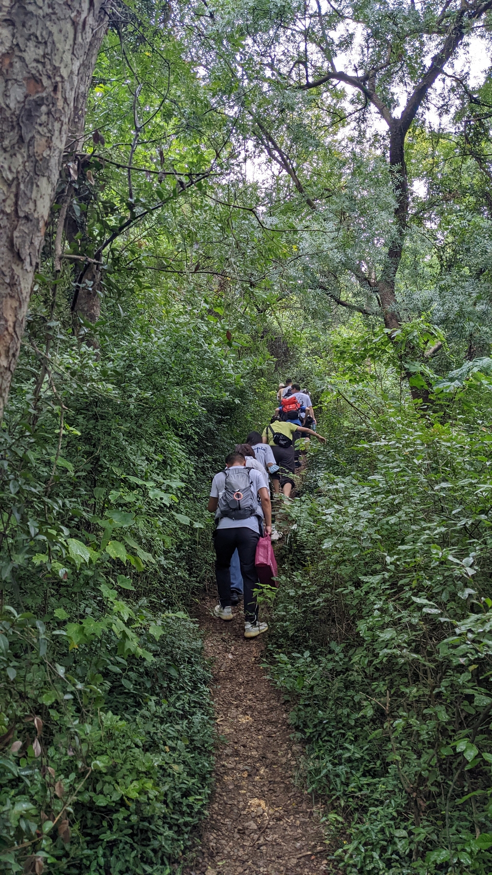 微信图片_20220903194234