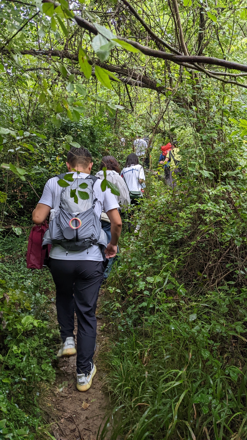 微信图片_20220903194238