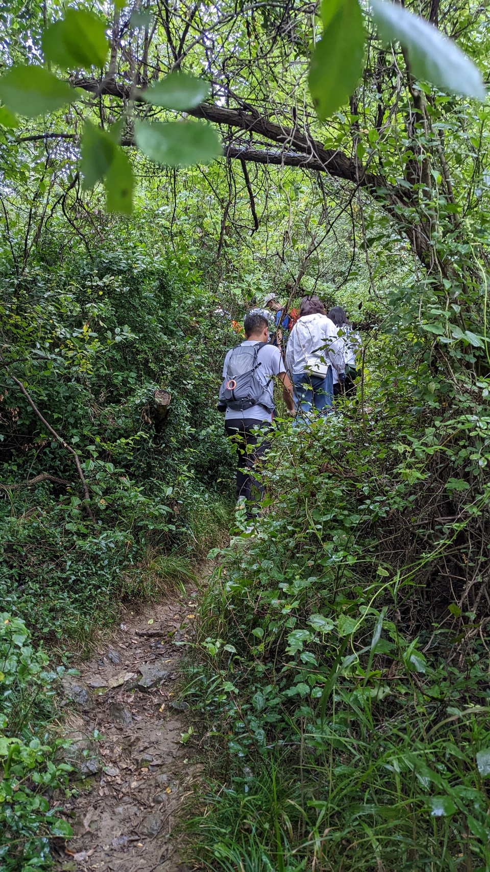 微信图片_20220903194244