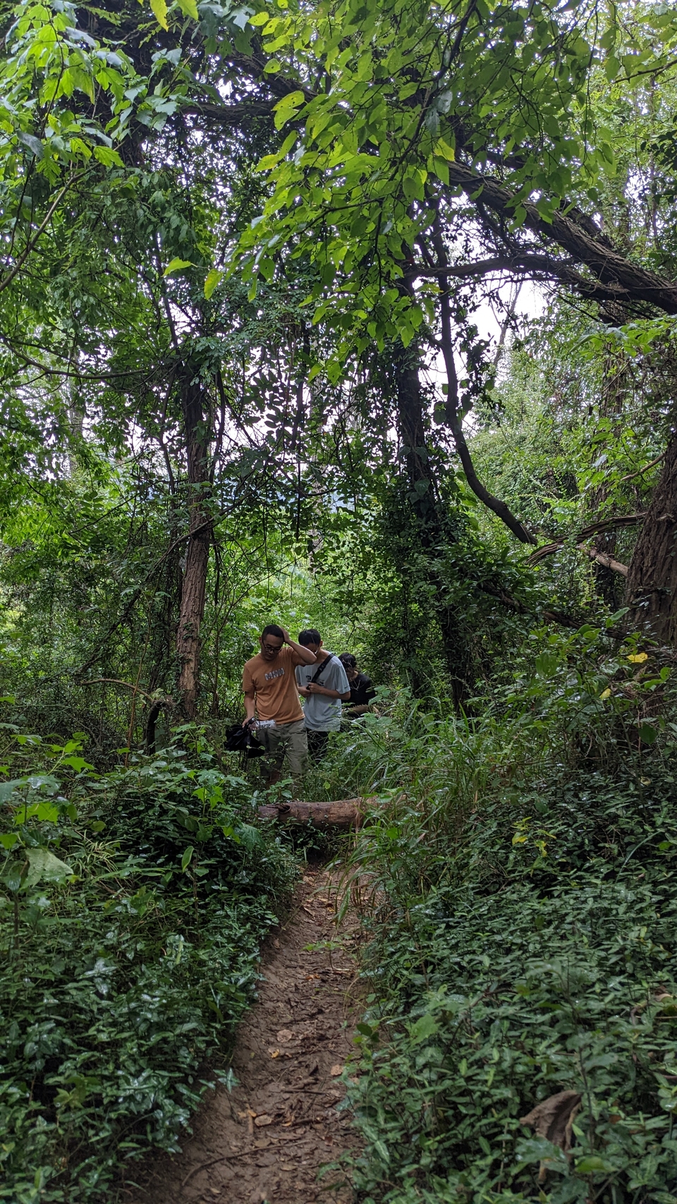 微信图片_20220903194249