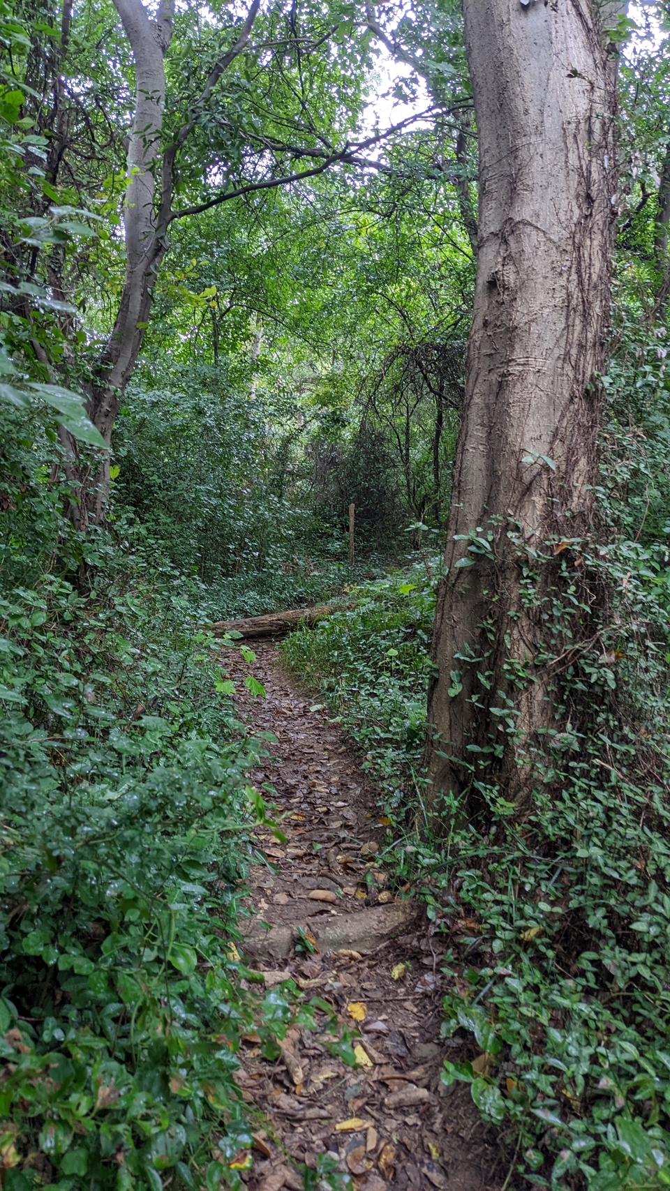 微信图片_20220903194338