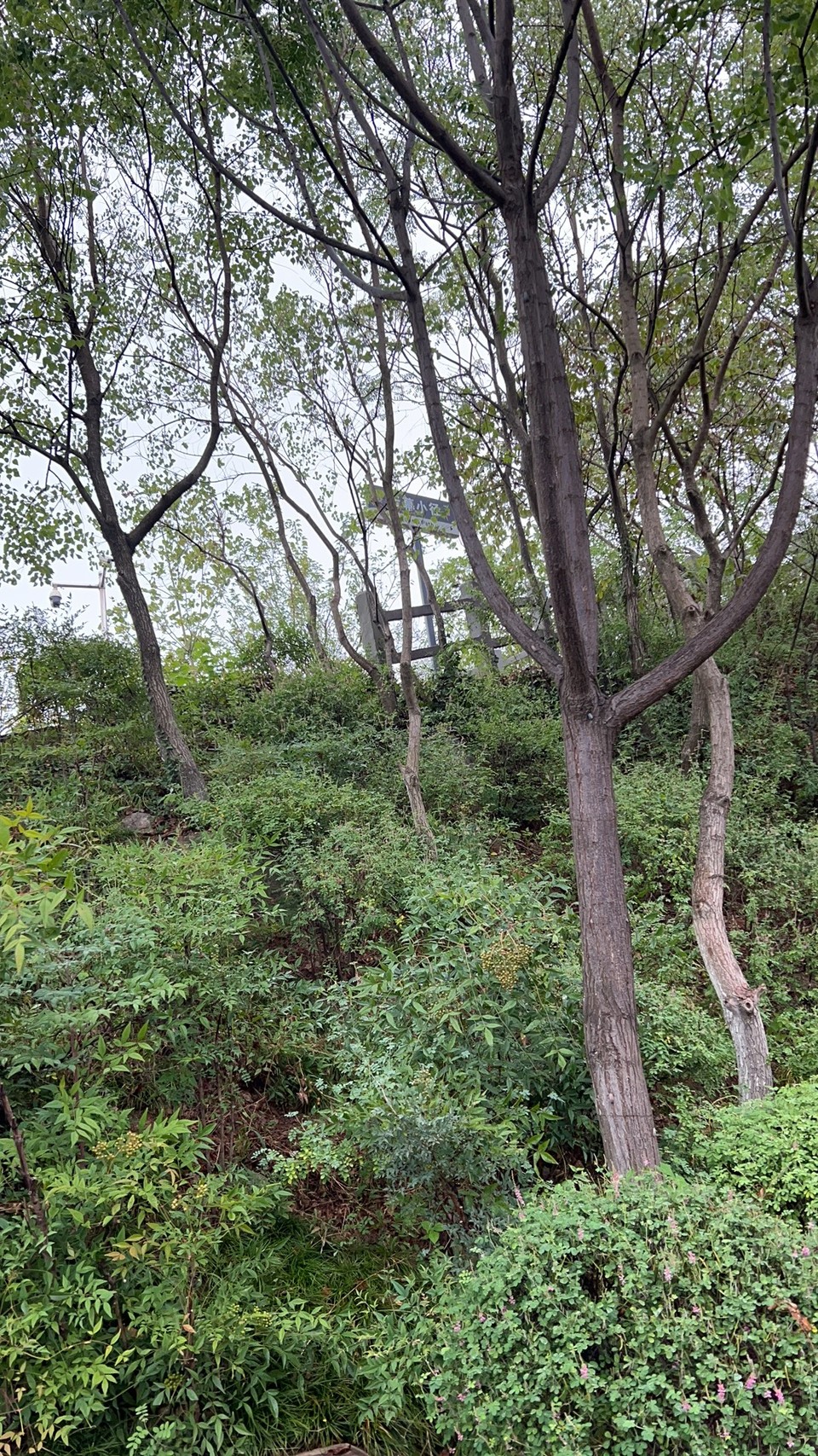 微信图片_20220903194531