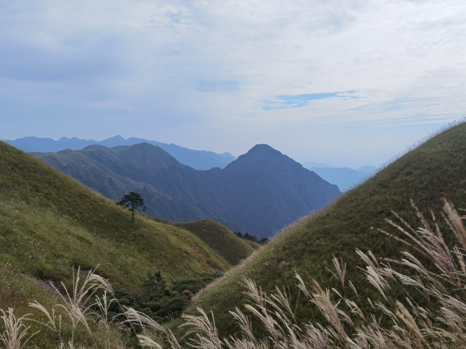 微信图片_202209132310093