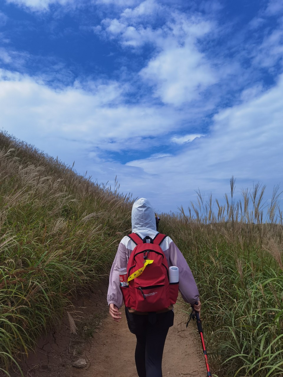 微信图片_202209132310096