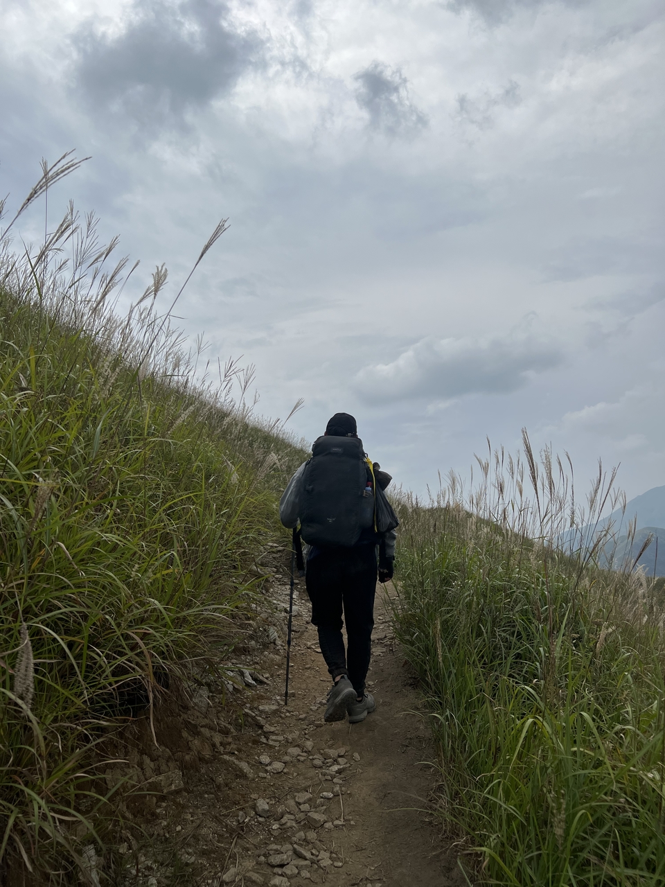 微信图片_202209132310099