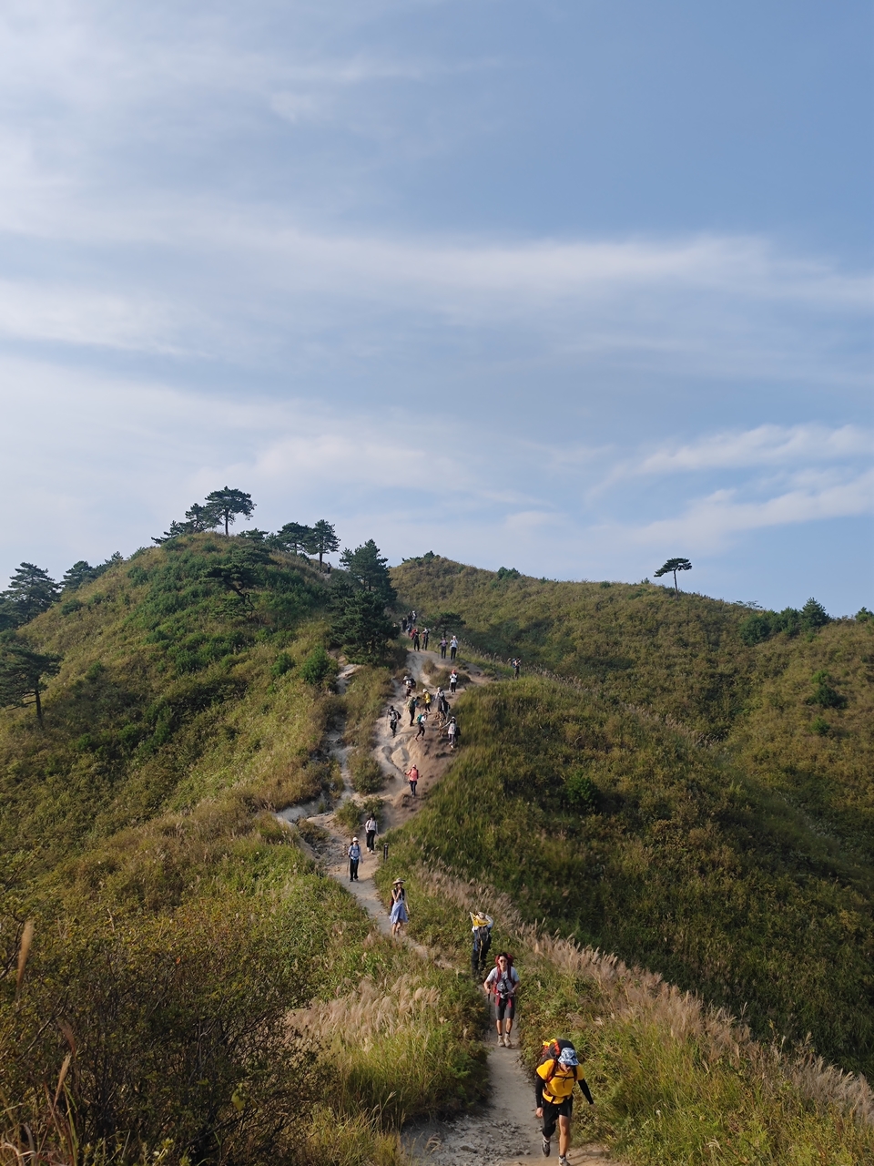 微信图片_202209132311255