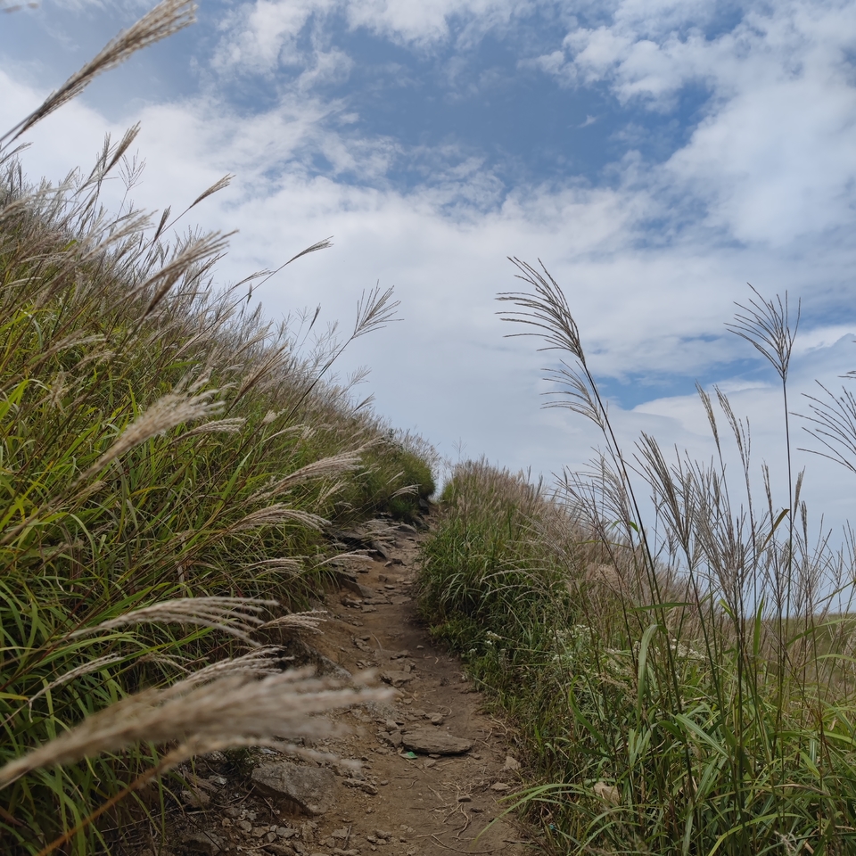 微信图片_202209132311271