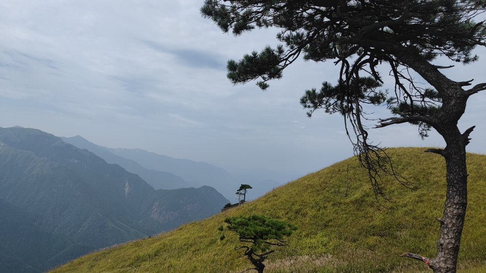 微信图片_202209132311274