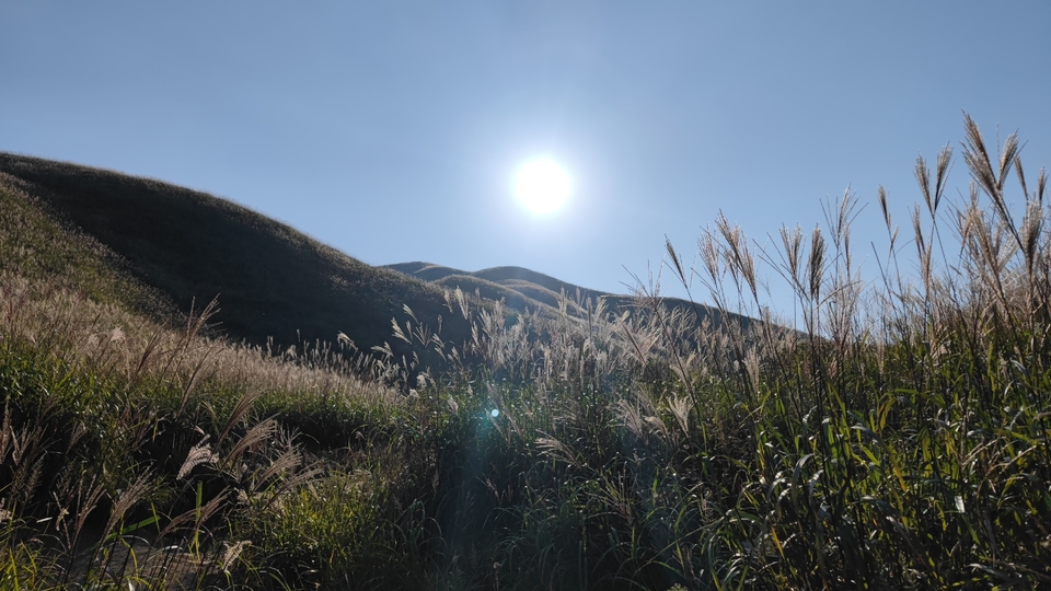 微信图片_202209132311528