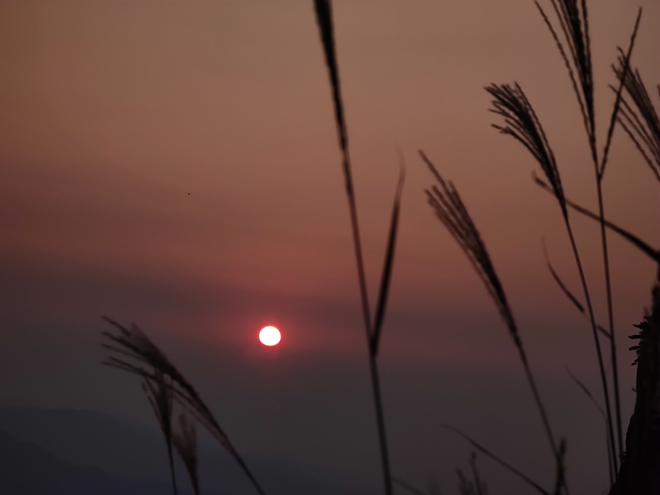 微信图片_202209132311531