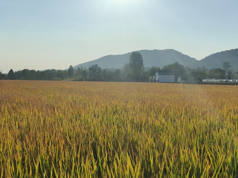 微信图片_20221017231241