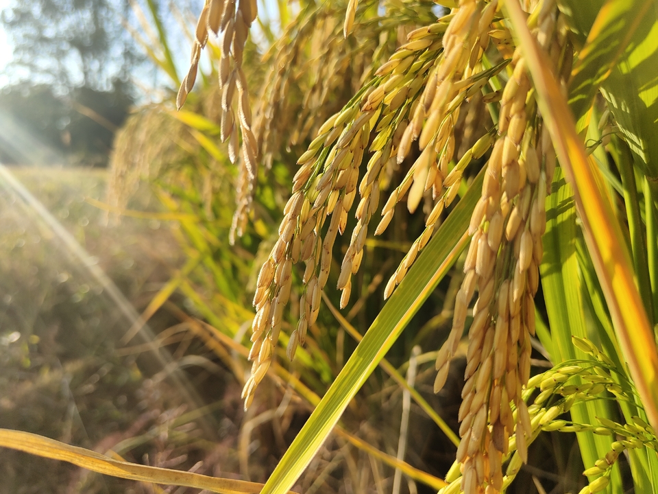 微信图片_20221017231257