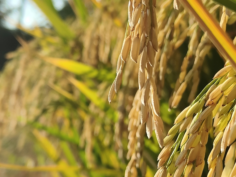 微信图片_20221017231301