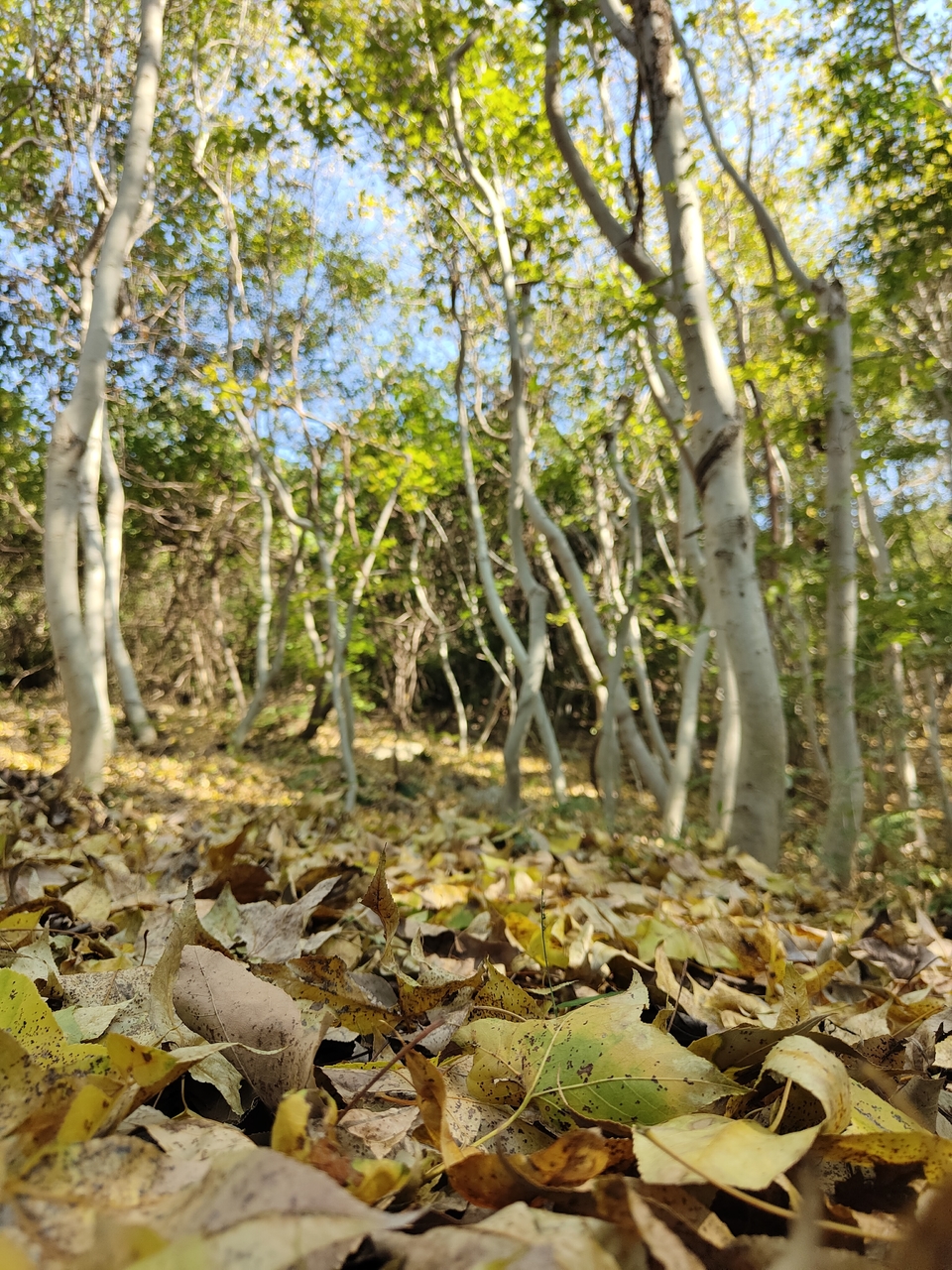 微信图片_20221017231315