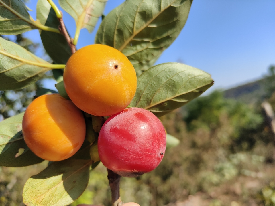 微信图片_20221017231320