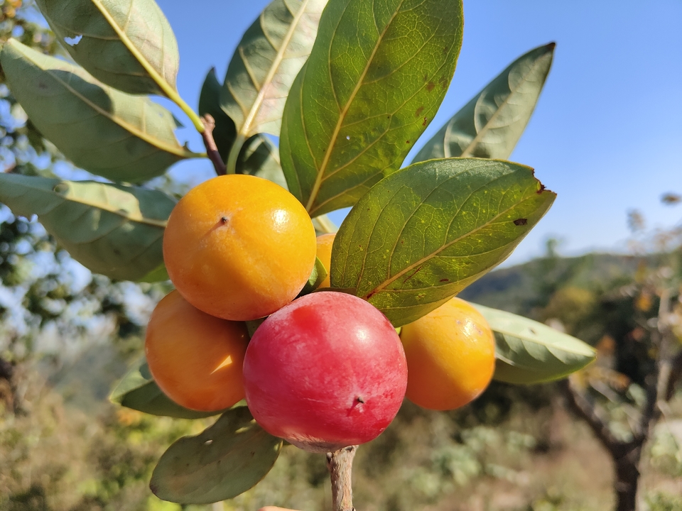 微信图片_20221017231325