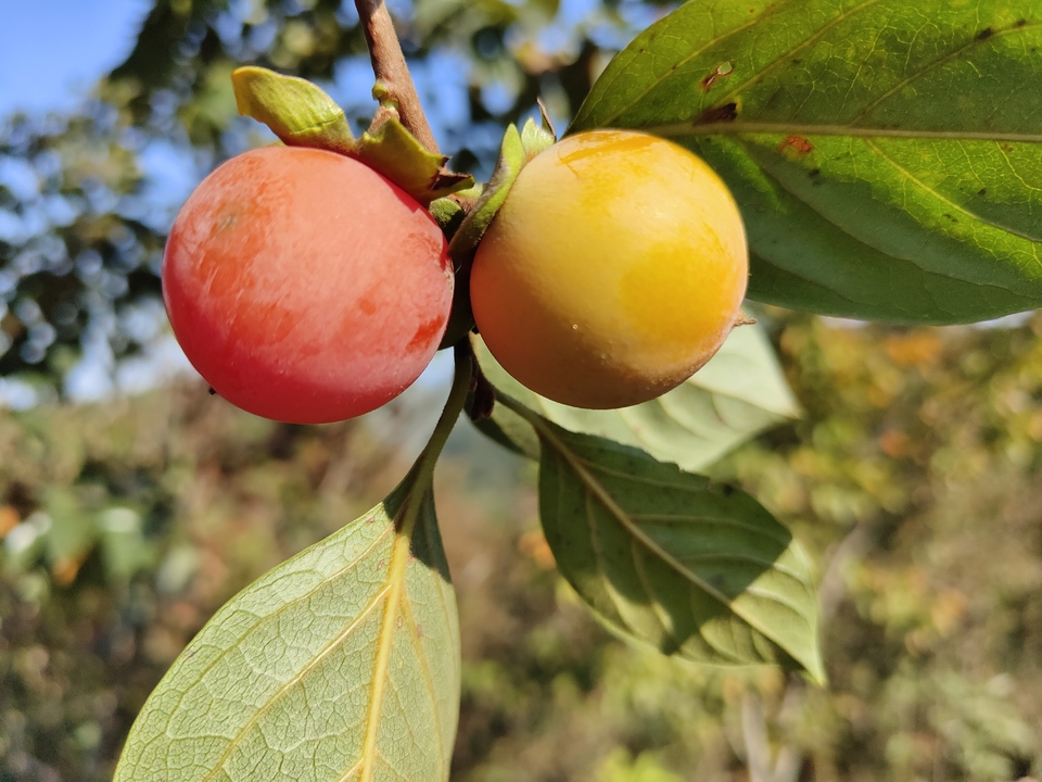 微信图片_20221017231332