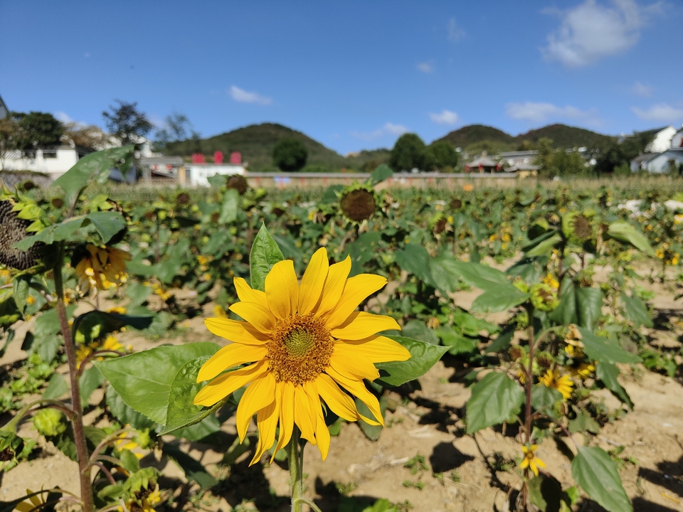 微信图片_20221017231430