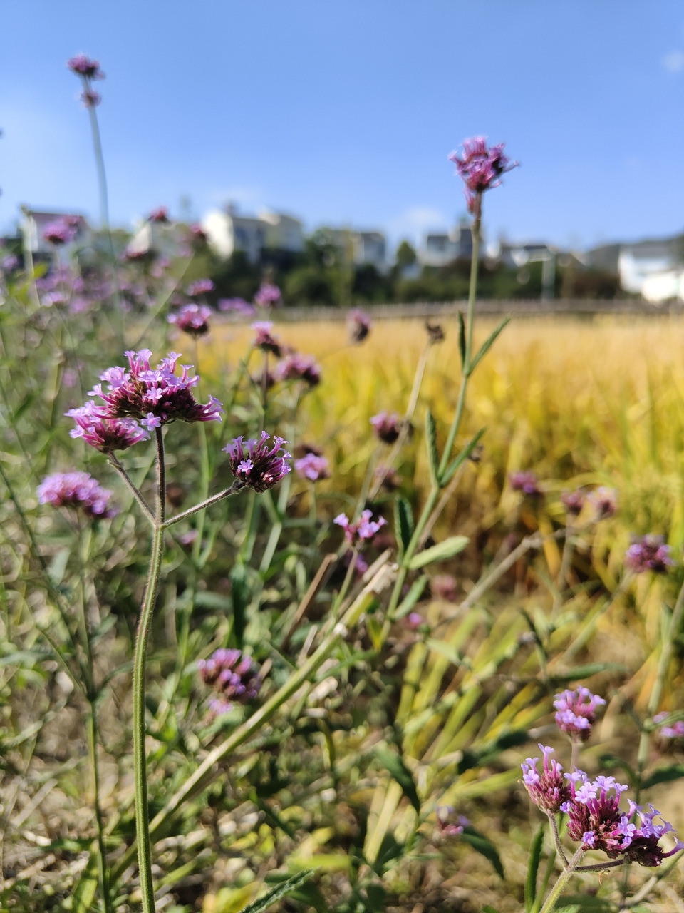 微信图片_20221017231436