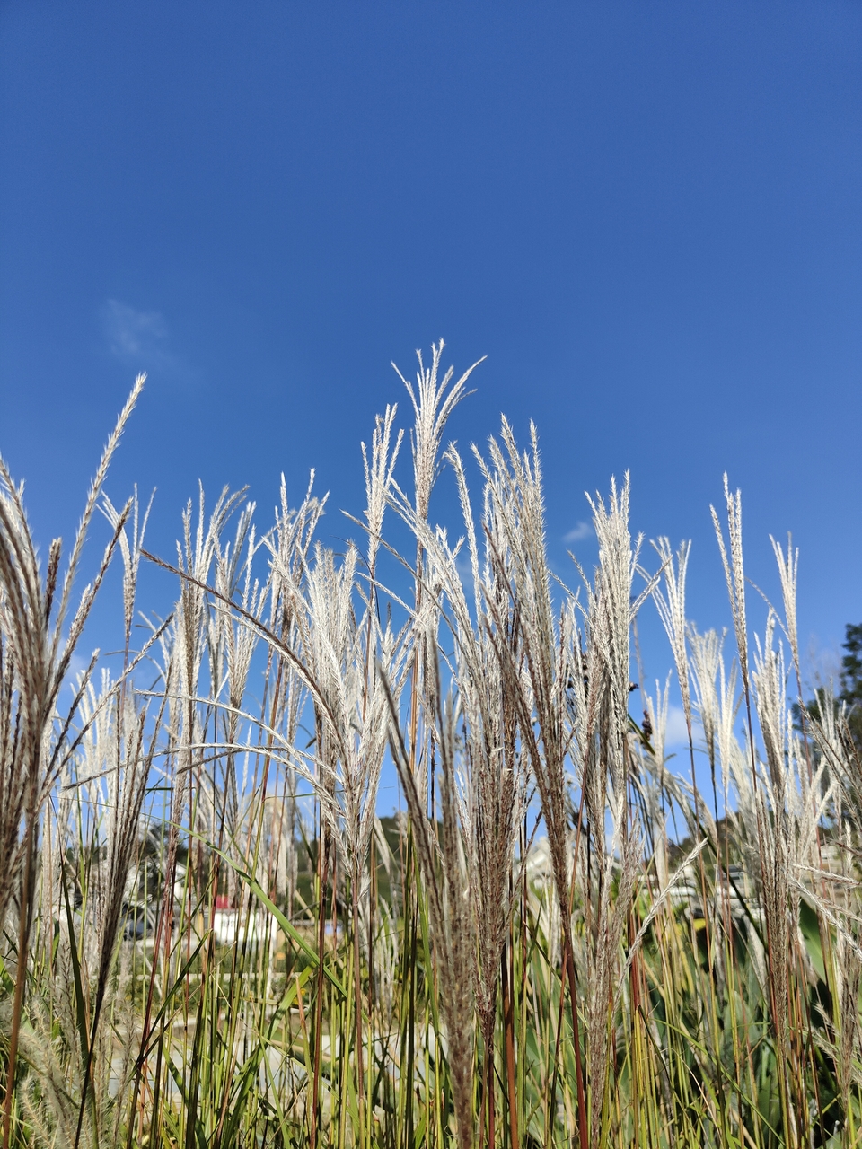 微信图片_20221017231440