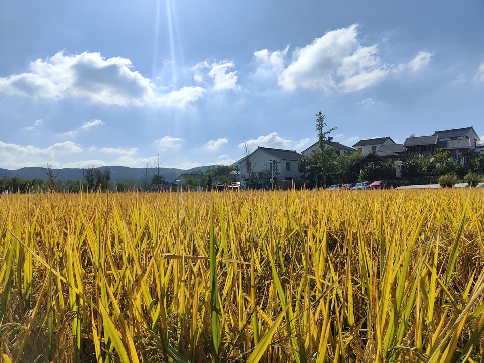 微信图片_20221017231446