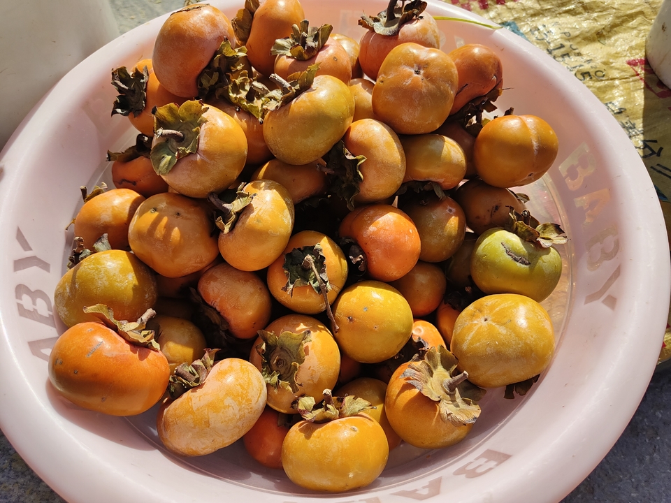 微信图片_20221017231450