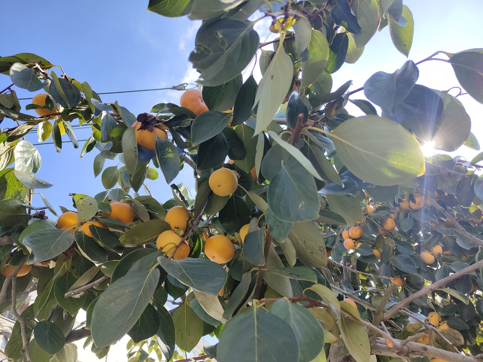 微信图片_20221017231455